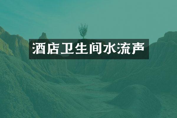 酒店卫生间水流声