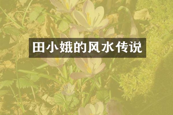 田小娥的风水传说