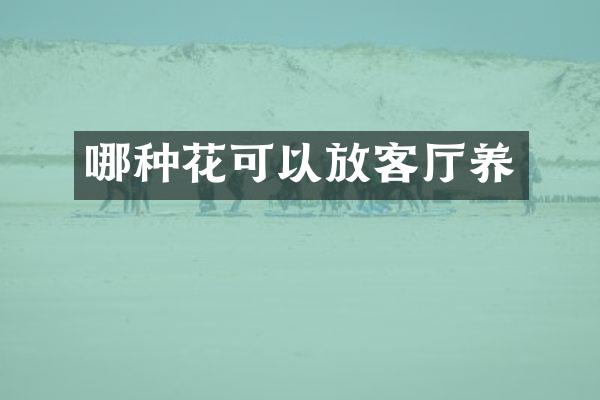 哪种花可以放客厅养