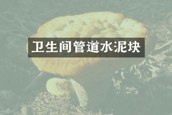 卫生间管道水泥块