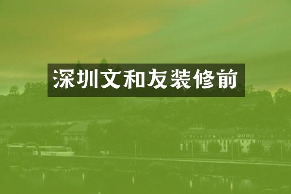 深圳文和友装修前
