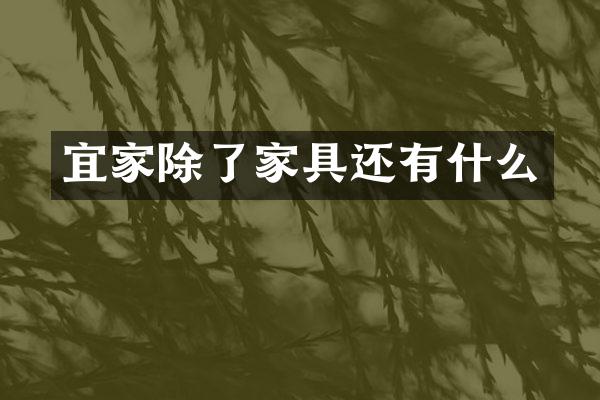 宜家除了家具还有什么