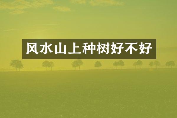 风水山上种树好不好