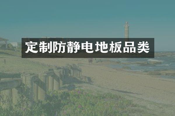 定制防静电地板品类