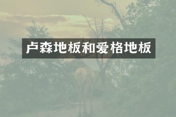 卢森地板和爱格地板