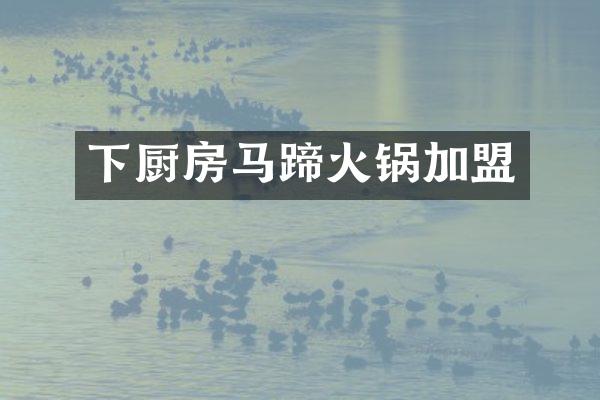 下厨房马蹄火锅加盟