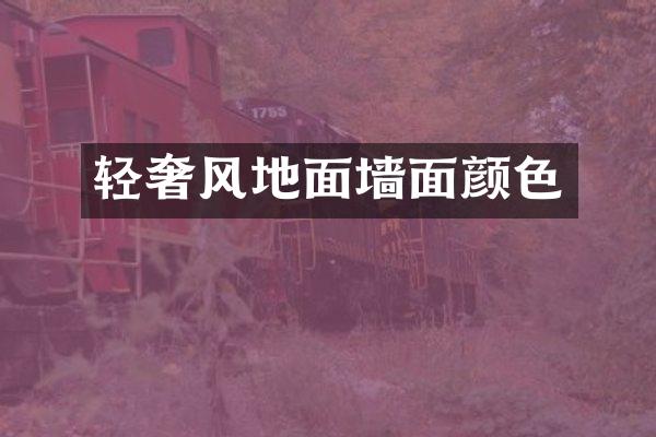 轻奢风地面墙面颜色