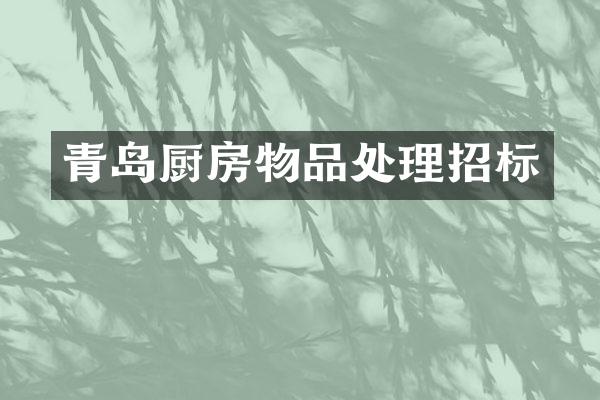 青岛厨房物品处理招标