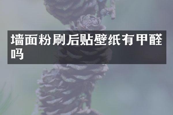 墙面粉刷后贴壁纸有甲醛吗