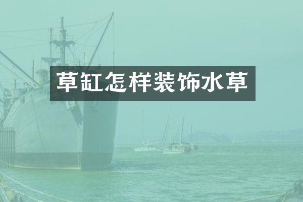 草缸怎样装饰水草