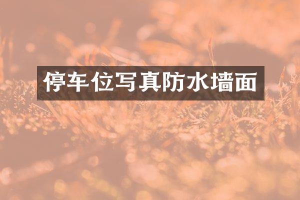 停车位写真防水墙面