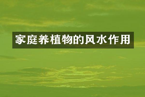 家庭养植物的风水作用