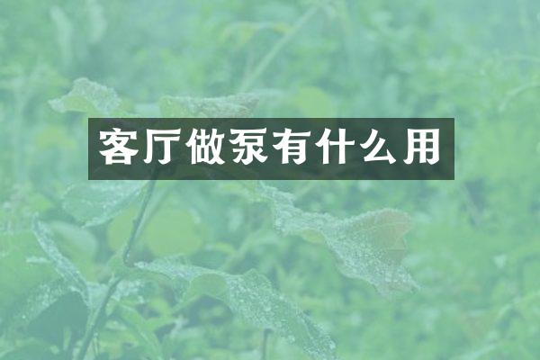 客厅做泵有什么用