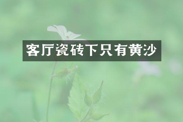 客厅瓷砖下只有黄沙