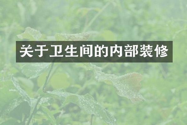 关于卫生间的内部装修