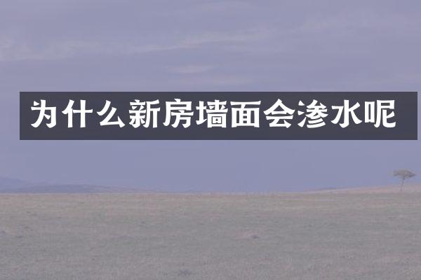 为什么新房墙面会渗水呢
