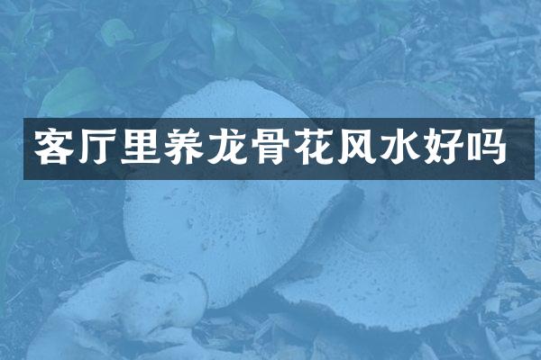 客厅里养龙骨花风水好吗
