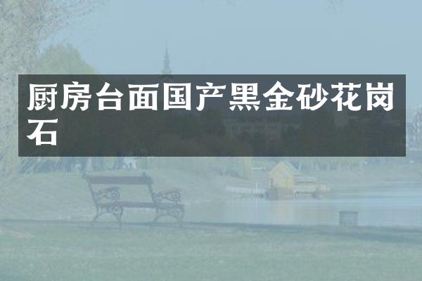 厨房台面国产黑金砂花岗石