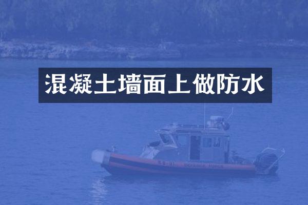 混凝土墙面上做防水