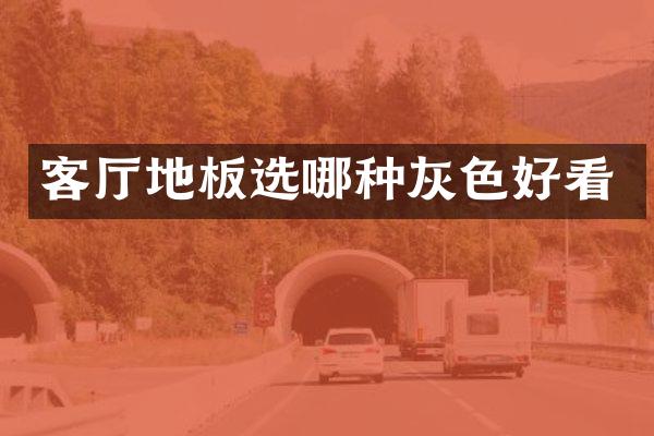 客厅地板选哪种灰色好看