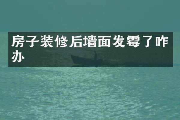 房子装修后墙面发霉了咋办