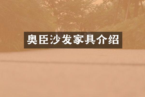 奥臣沙发家具介绍