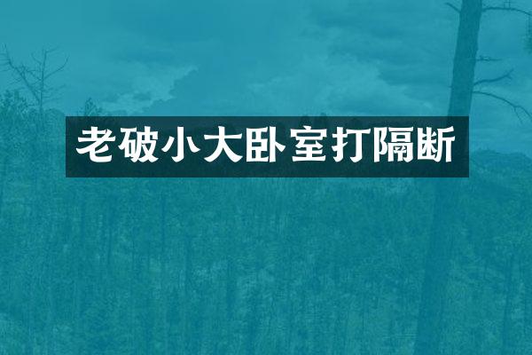 老破小大卧室打隔断