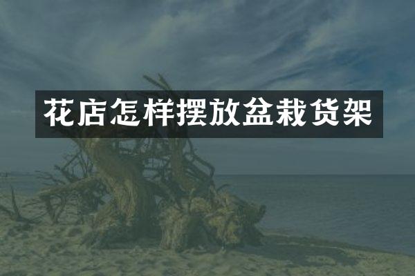 花店怎样摆放盆栽货架
