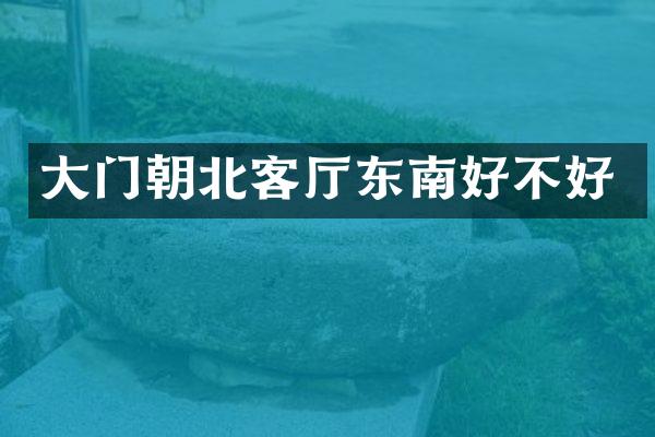 大门朝北客厅东南好不好
