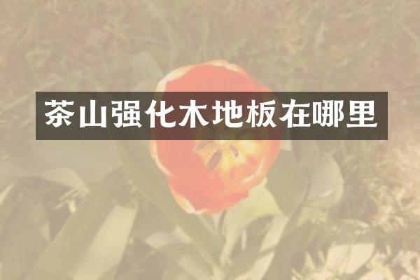 茶山强化木地板在哪里