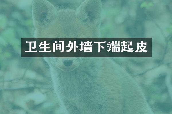 卫生间外墙下端起皮