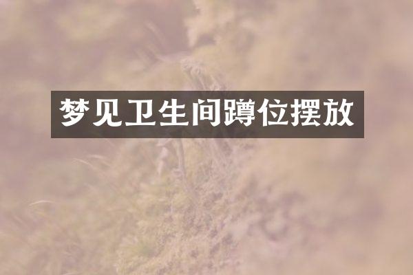 梦见卫生间蹲位摆放