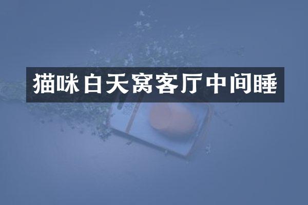 猫咪白天窝客厅中间睡