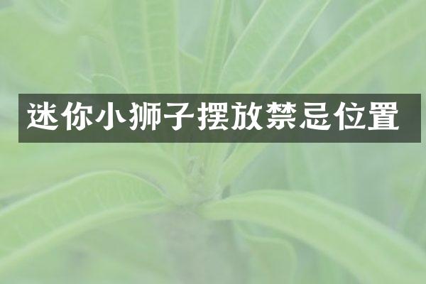 迷你小狮子摆放禁忌位置