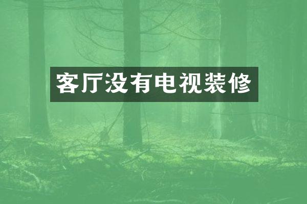 客厅没有电视装修