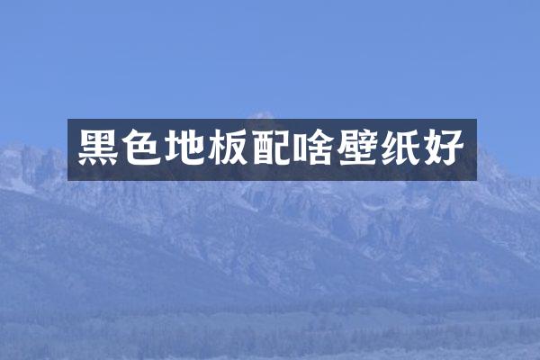 黑色地板配啥壁纸好