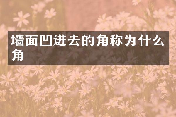 墙面凹进去的角称为什么角