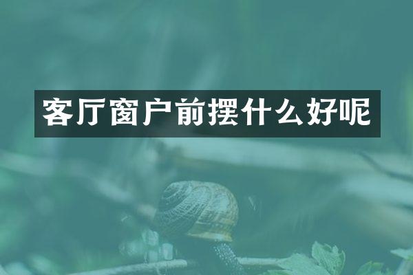 客厅窗户前摆什么好呢