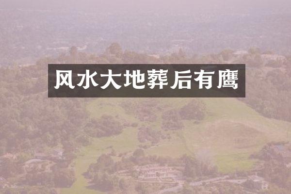 风水大地葬后有鹰