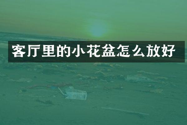 客厅里的小花盆怎么放好