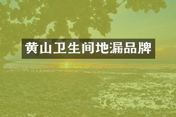 黄山卫生间地漏品牌