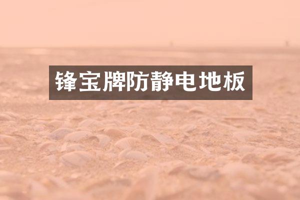 锋宝牌防静电地板