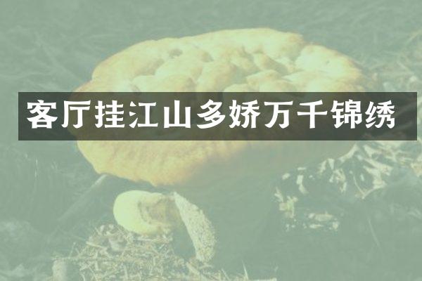 客厅挂江山多娇万千锦绣