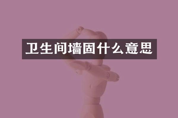卫生间墙固什么意思