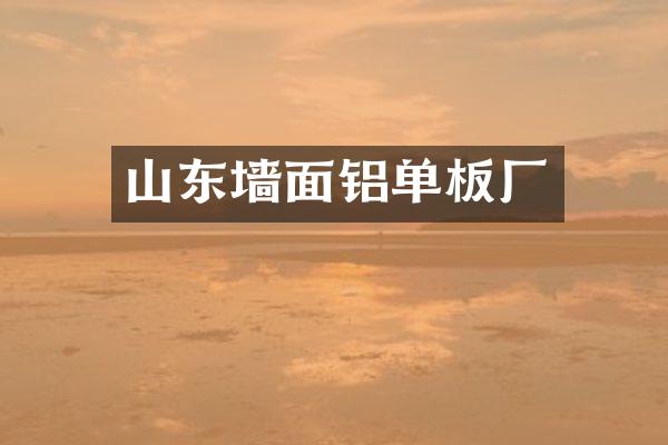 山东墙面铝单板厂