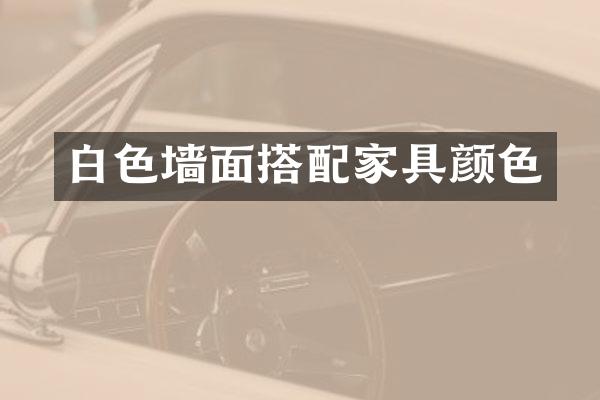 白色墙面搭配家具颜色