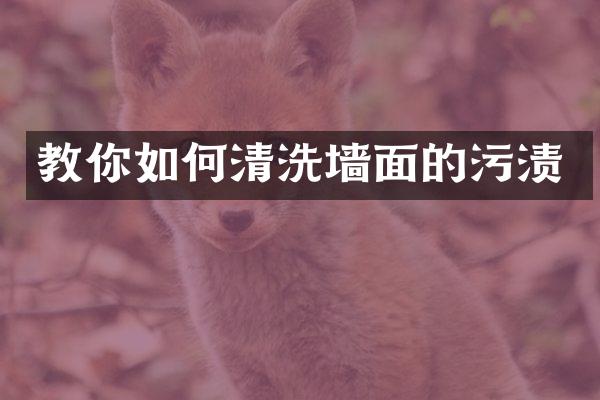 教你如何清洗墙面的污渍
