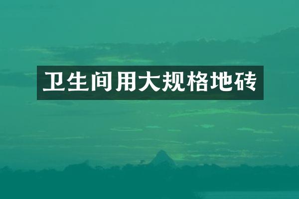 卫生间用大规格地砖