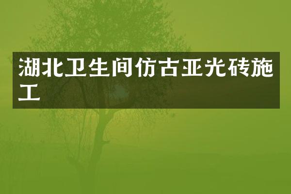 湖北卫生间仿古亚光砖施工