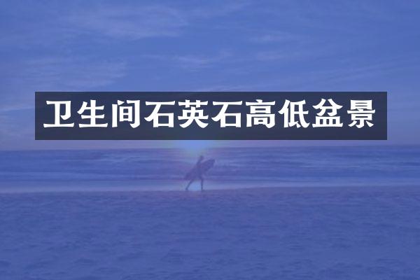 卫生间石英石高低盆景